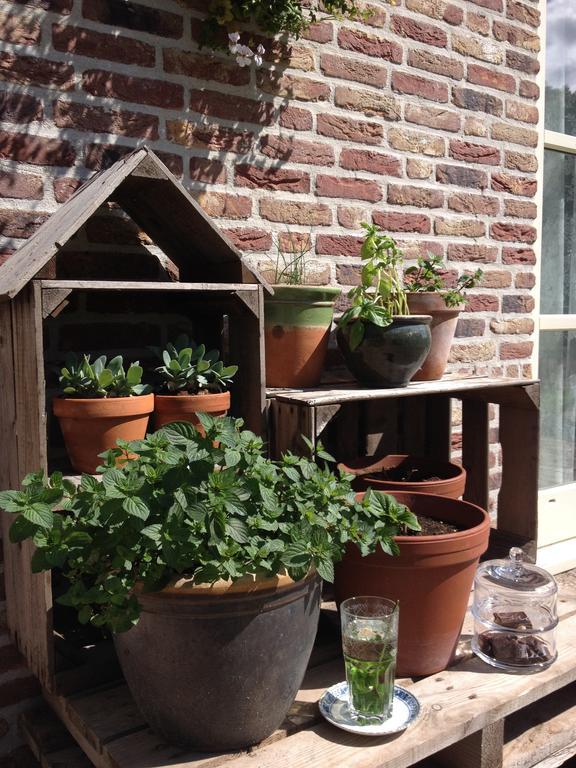Hof Van Renesse Noordwelle Zewnętrze zdjęcie