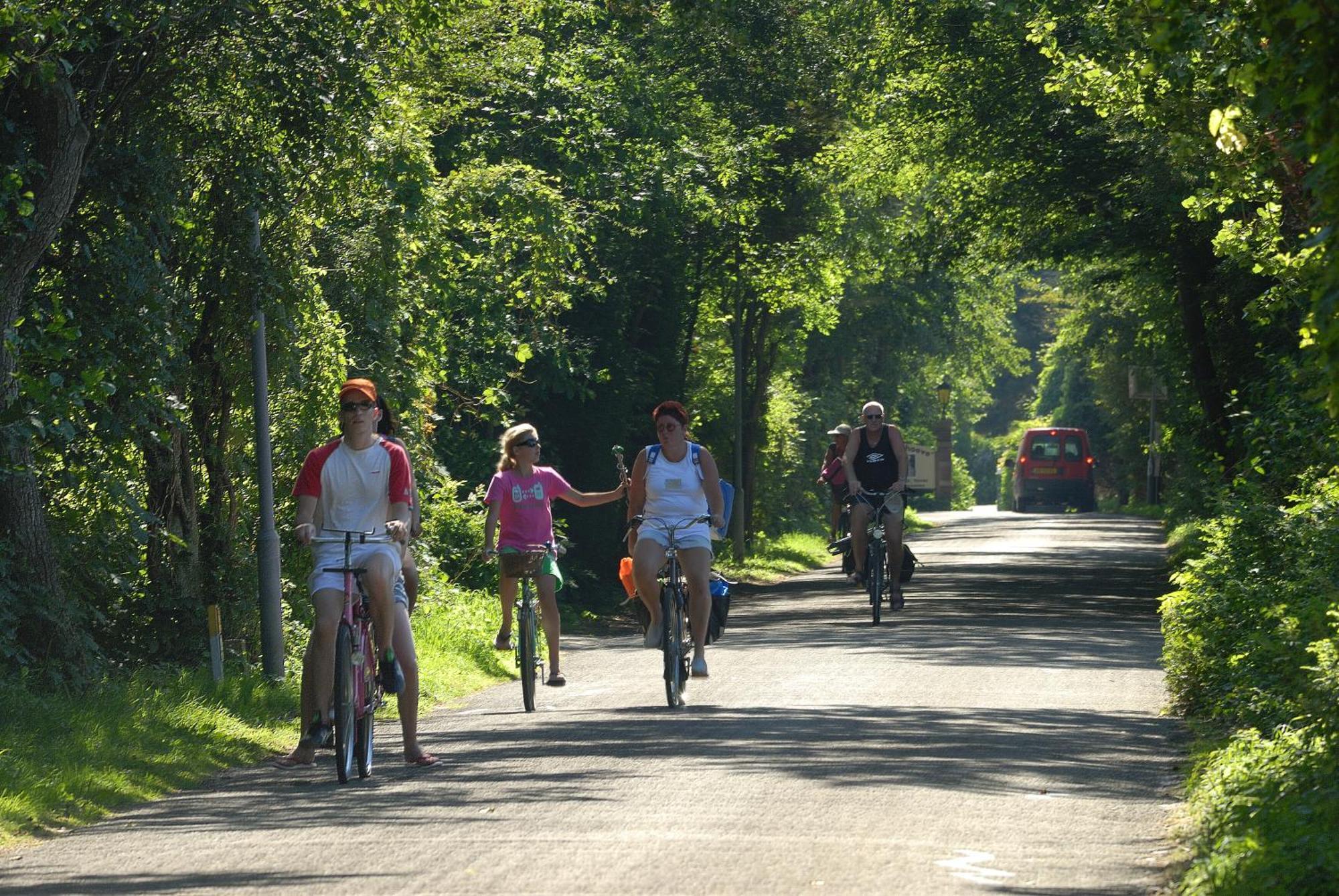 Hof Van Renesse Noordwelle Zewnętrze zdjęcie